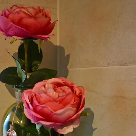 Apartment Hildegard In
